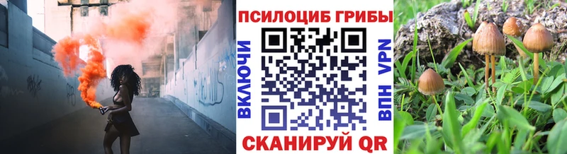 где купить наркоту  Ковров  Псилоцибиновые грибы MAGIC MUSHROOMS 